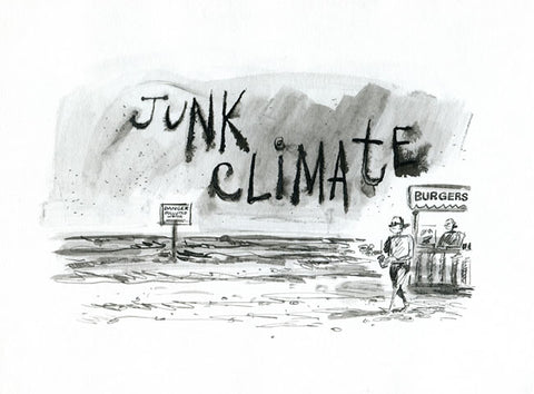 junk climate